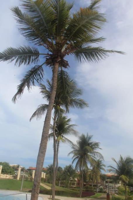 Aquaville Vista Mar Próximo Park Ceará Apartamento
