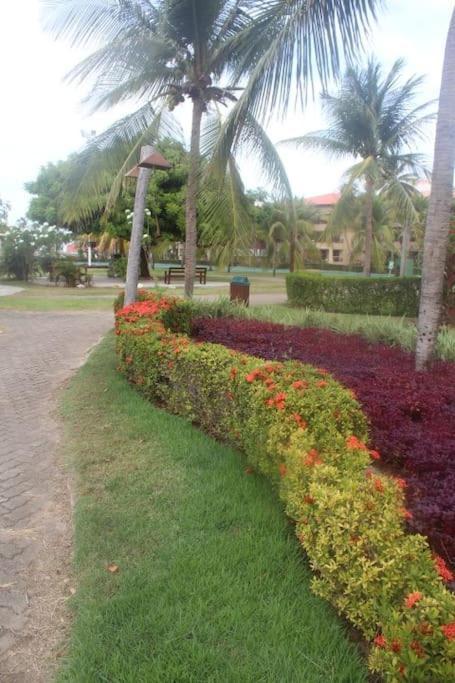 Aquaville Vista Mar Próximo Park Ceará